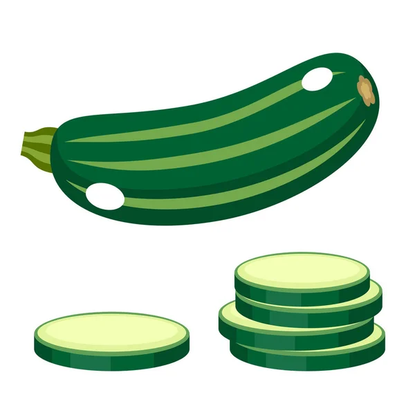 Zucchini på vit botten. Vektor illustration — Stock vektor