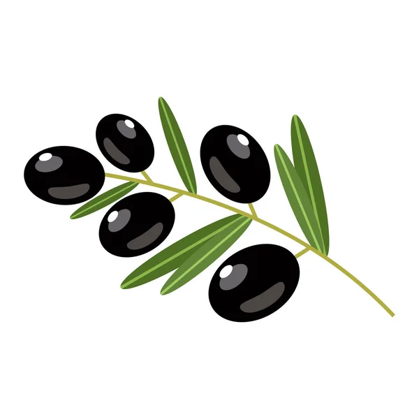 Olive nere su fondo bianco. Illustrazione vettoriale — Vettoriale Stock