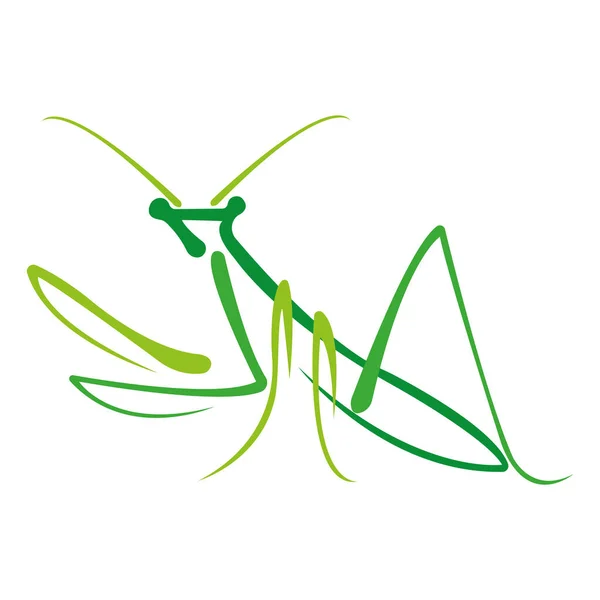 Mantis Verde Pintado Estilo Celta Ilustração Vetorial — Vetor de Stock