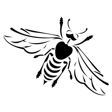 Çeşitli çizgilerde kara arı çizilmiş. Şirket logosu, amblemi, şablonu, modern böcek dövmesi, tişört ya da giysilerinde baskı, rozet, simge, etiket, afiş için uygun tasarım. İzole vektör illüstrasyonu