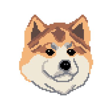 Akita köpek yüzünün vektör illüstrasyonu 