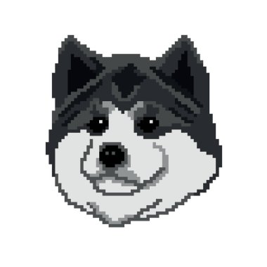 Akita köpek yüzünün vektör illüstrasyonu 