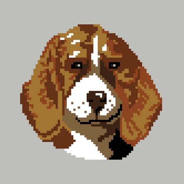 Vektorillustration Des Beagle Hundes — Stockvektor
