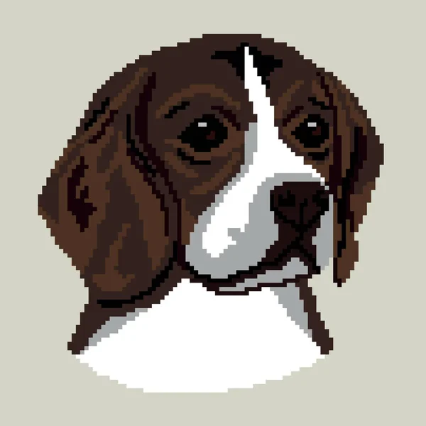 Vektorillustration Des Beagle Hundes — Stockvektor