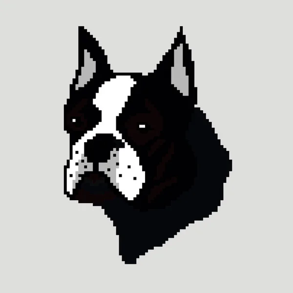 Vektor Illustration Von Hund Boston Terrier — Stockvektor