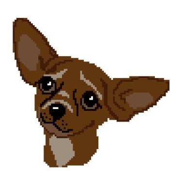 Köpeğin vektör çizimi, evcil köpek Chihuahua