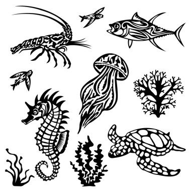  Deniz canlıları ve denizanalarının vektör çizimi 
