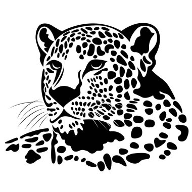Jaguar vahşi kedi yırtıcı hayvanının vektör çizimi