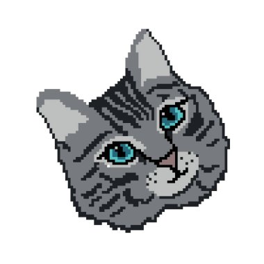 Kedi ve evcil hayvanın vektör çizimi 