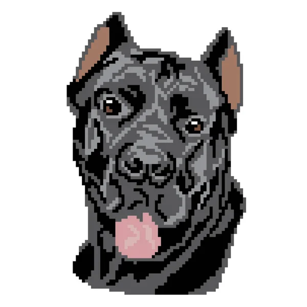 Vector Ilustración Perro Mostrando Lengua — Vector de stock