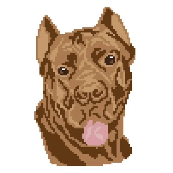 Vector Illustration Dog Showing Tongue — Stock Vector