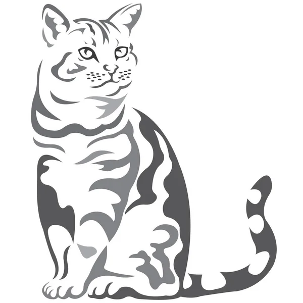 Illustration Vectorielle Chat Animal Compagnie — Image vectorielle