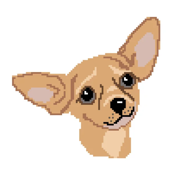 Vector Illustration Dog Domestic Pet Chihuahua — Stock Vector