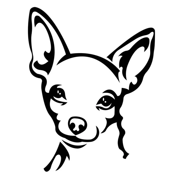 Vektor Illustration Von Hund Haustier Chihuahua — Stockvektor