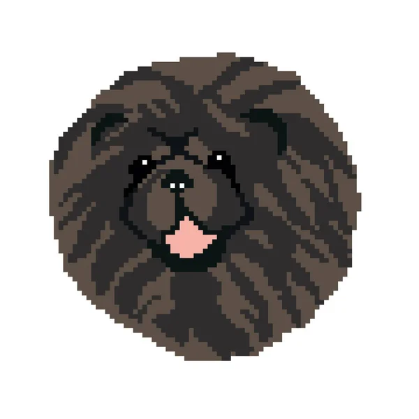 Vektor Illustration Hund Husdjur Chow Chow — Stock vektor