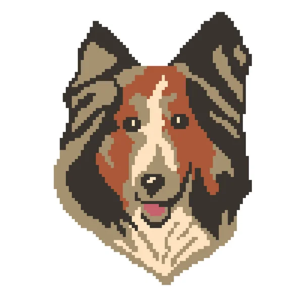 Vektor Illustration Von Hund Haustier Collie — Stockvektor