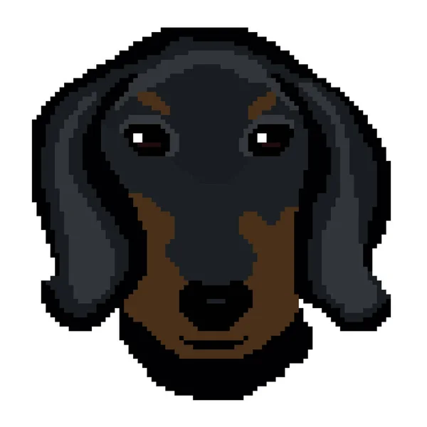 Vector Ilustración Perro Perro Doméstico Dachshund — Archivo Imágenes Vectoriales