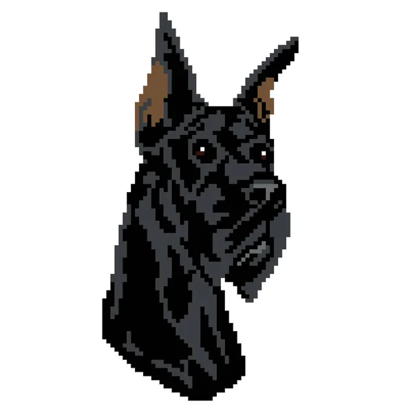 Vector Illustration Dog Pet — Stock Vector