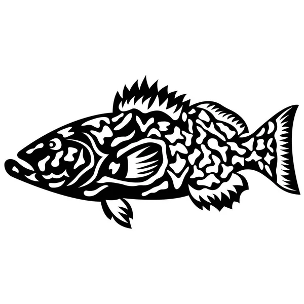 Vector Illustration Fish Marine Animal Art — Stock Vector