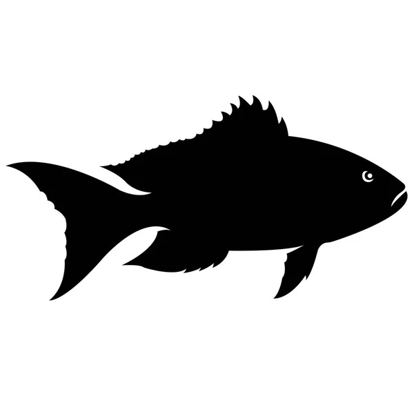 Vector Illustration Fish Marine Animal Art — Stock Vector