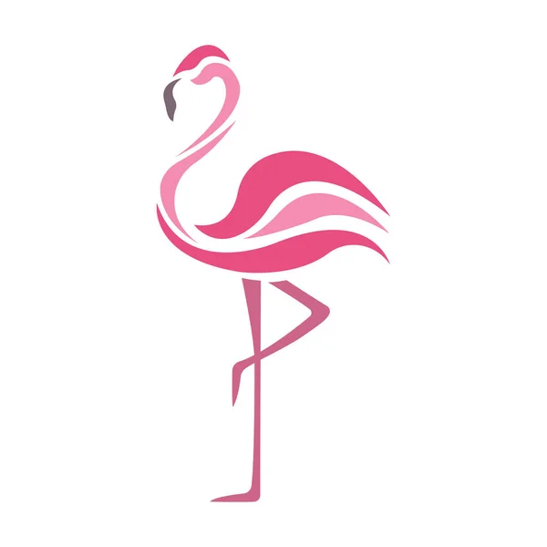 Vektor Illustration Rosa Flamingo Fågel — Stock vektor