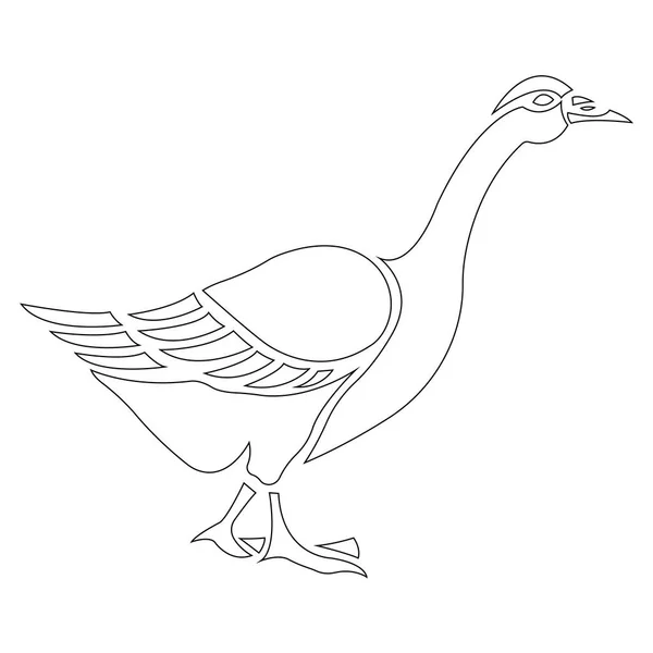 Vector Illustration Goose Bird — Stock Vector