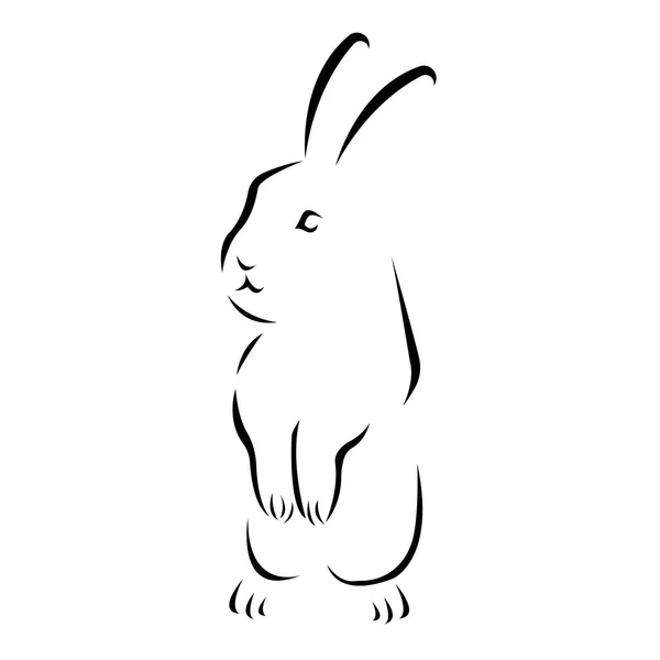 Vektor Illustration Von Kaninchen Hasen Tier — Stockvektor