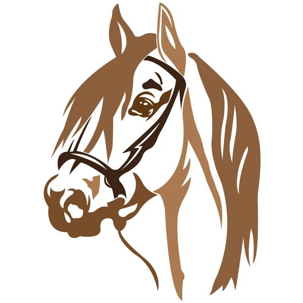Illustrazione Vettoriale Degli Animali Cavallo — Vettoriale Stock
