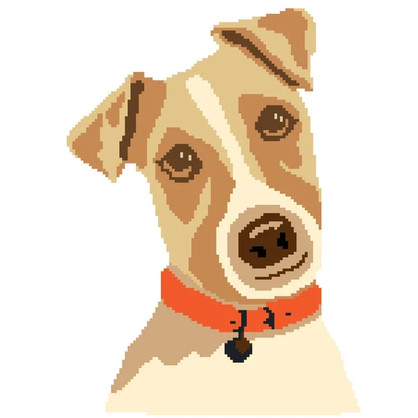 Vector Ilustración Perro Animal Compañía Jack Russell Terrier — Archivo Imágenes Vectoriales