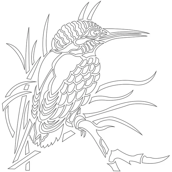 Illustration Vectorielle Kingfisher Bird — Image vectorielle