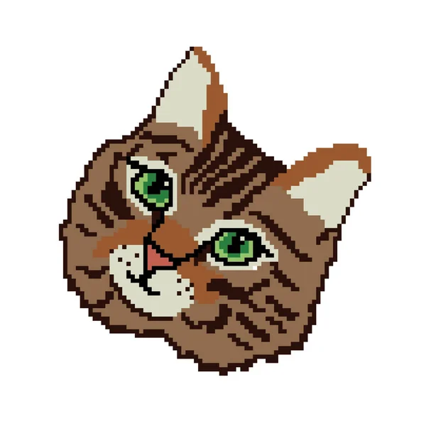 Vector Ilustración Gato Mascota Doméstica — Archivo Imágenes Vectoriales