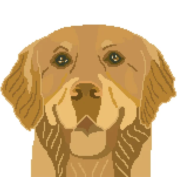 Vector Illustration Dog Pet Animal Labrador — Stock Vector