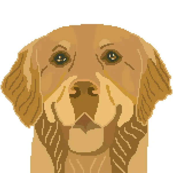 Vektor Illustration Von Hund Haustier Labrador — Stockvektor