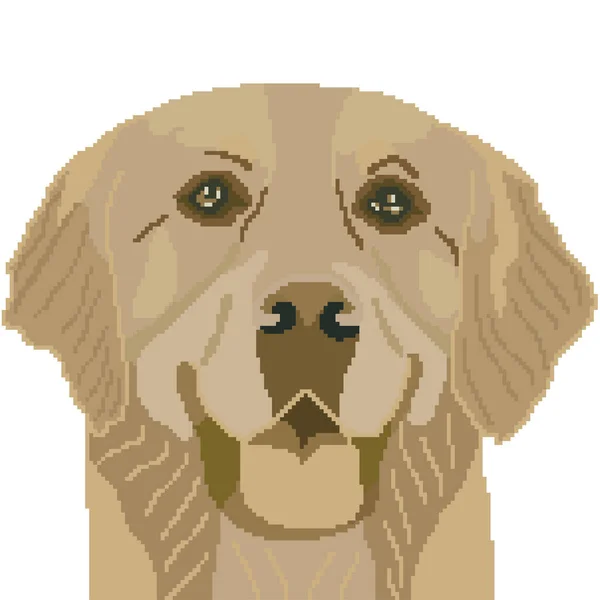 Ilustracja Wektor Psa Zwierzę Domowe Labrador — Wektor stockowy