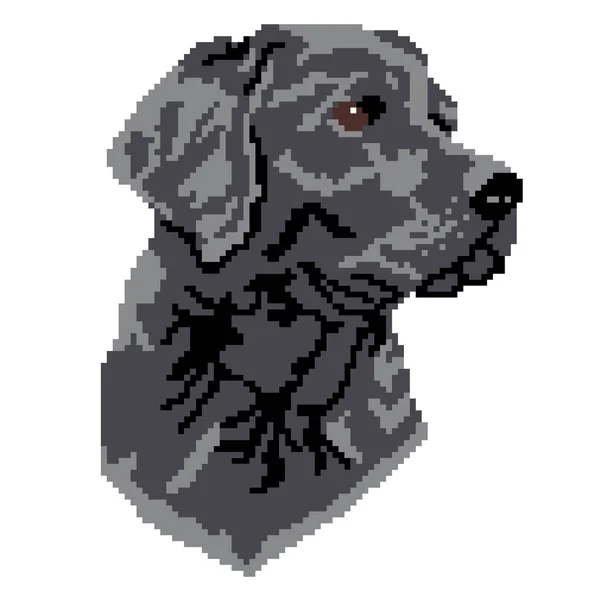 Vector Illustration Dog Pet Animal Labrador — Stock Vector
