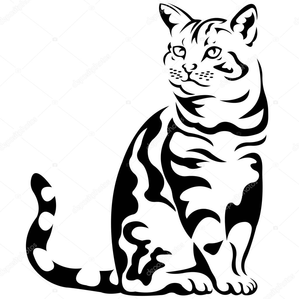 vector illustration of cat pet