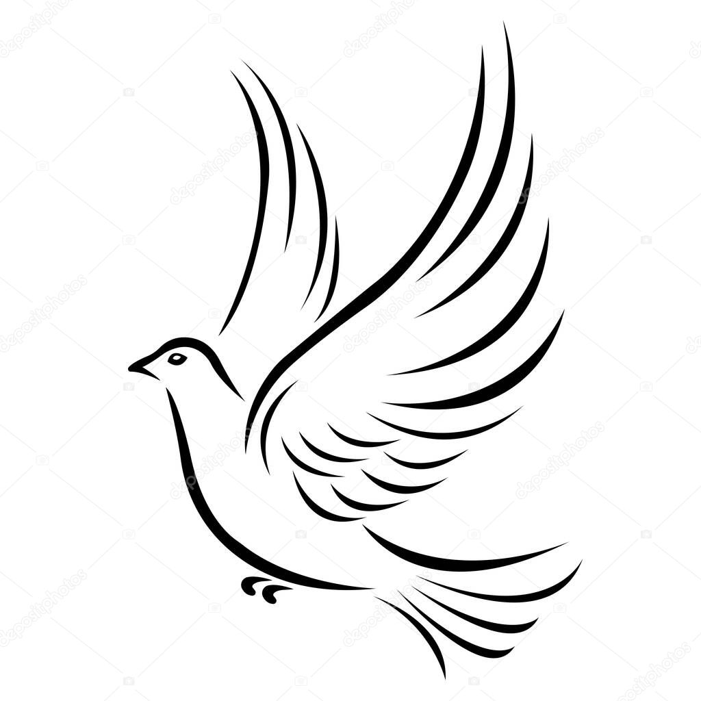 vector illustration of dove bird 