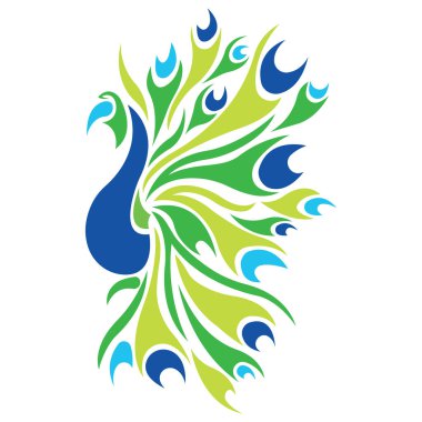 Kuyruklu Tavuskuşu çizimi 