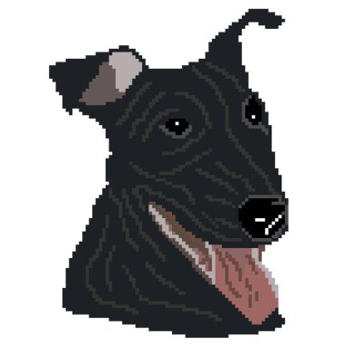 Köpek, hayvan ve Pitbull 'un vektör çizimi