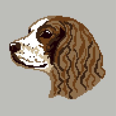 Köpek, hayvan ve Spaniel 'in vektör çizimi 