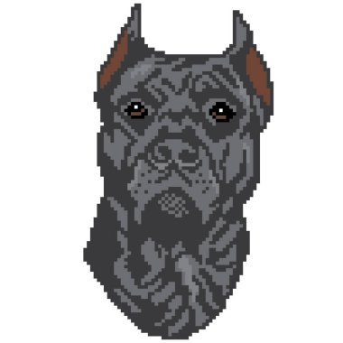 Köpek, hayvan ve Spaniel 'in vektör çizimi 