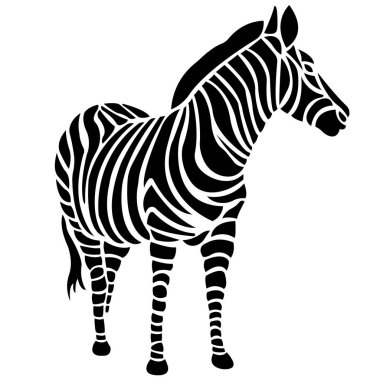 Çizilmiş zebra hayvanının vektör çizimi
