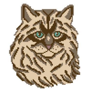 Kedi ve evcil hayvanın vektör çizimi 