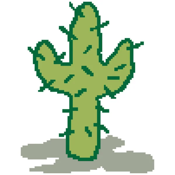 Vector Ilustración Planta Cactus Tropical Verde — Archivo Imágenes Vectoriales