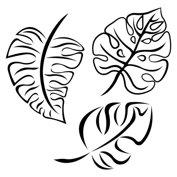 Motif Feuilles Fond Vectoriel Illustration Avec Des Feuilles Florales — Image vectorielle
