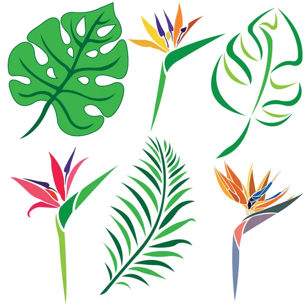 Bladeren Patroon Vector Illustratie Achtergrond Met Bloemen Bladeren — Stockvector