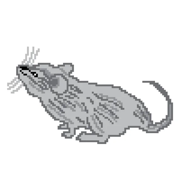 Vector Illustration Mouse Rodent — Stock Vector