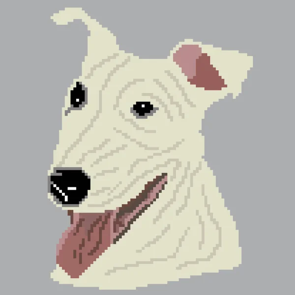 Vektorillustration Von Hund Haustier Pitbull — Stockvektor