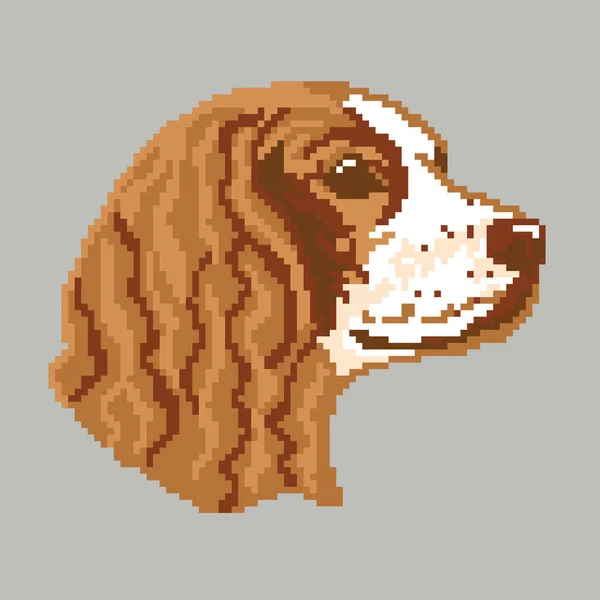 Vektor Illustration Hund Sällskapsdjur Spaniel — Stock vektor