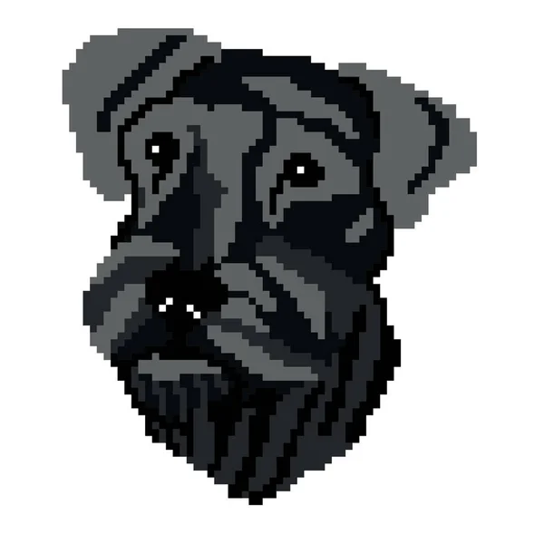 Векторна Ілюстрація Собаки Домашньої Тварини Шнаузера — стоковий вектор